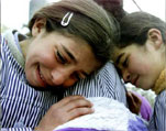 Picture of the Week