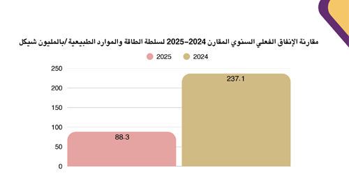 Annual Comparative Report of Actual Spending of the Energy and Natural Resources Authority 2024-2025