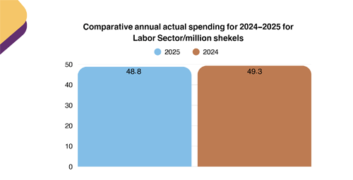 Annual Comparative Report of Actual Spending of the Labor Sector 2024-2025